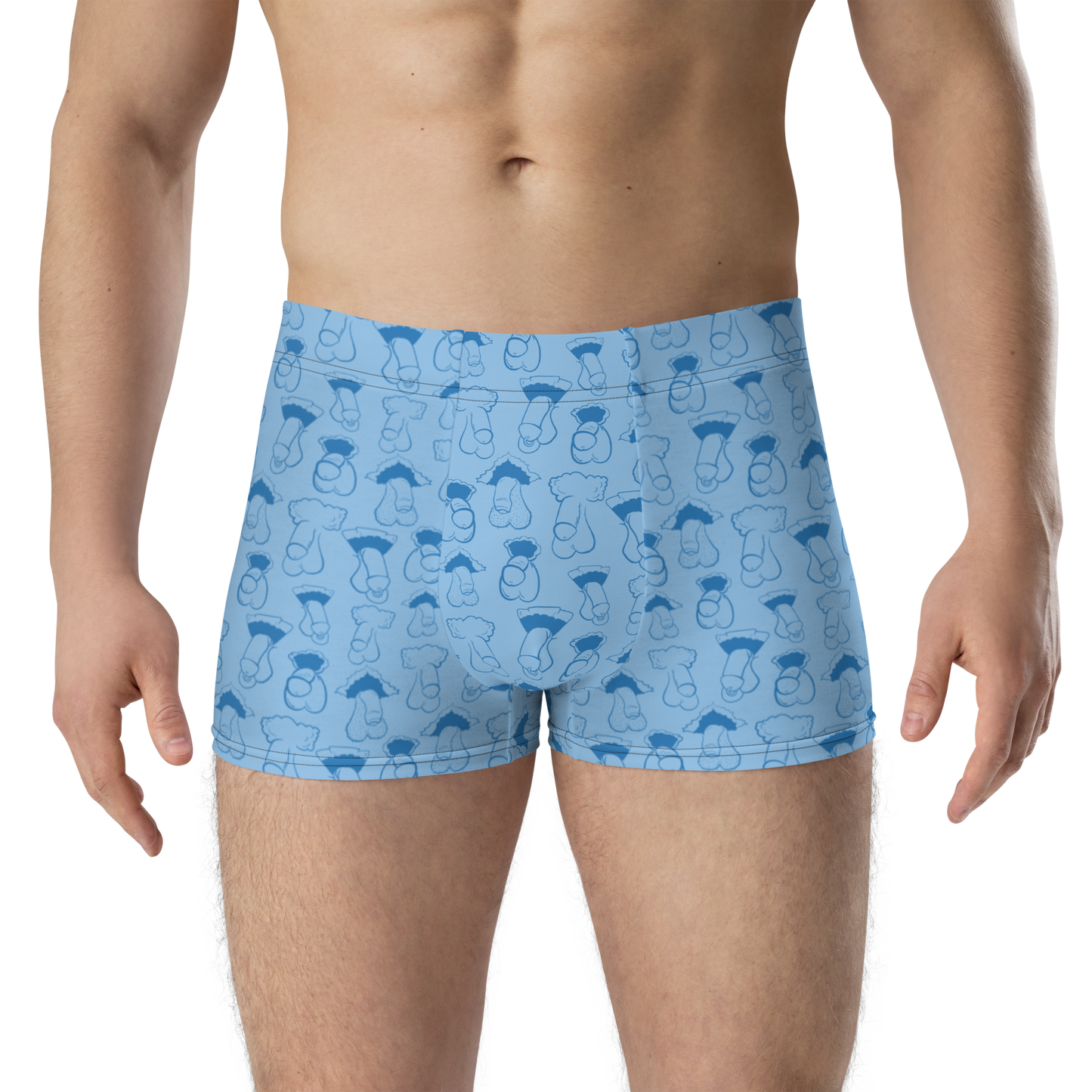 Blue Dick Boxer Briefs